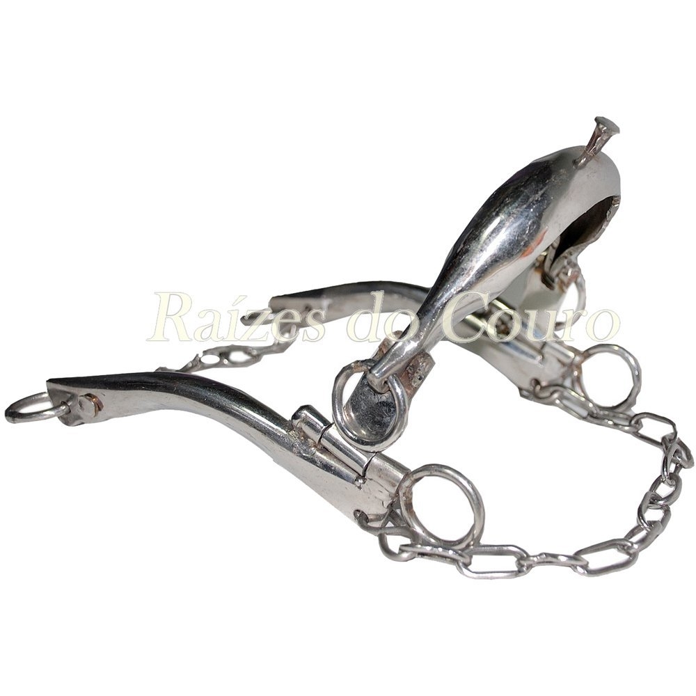 Freio Professora Rc2505