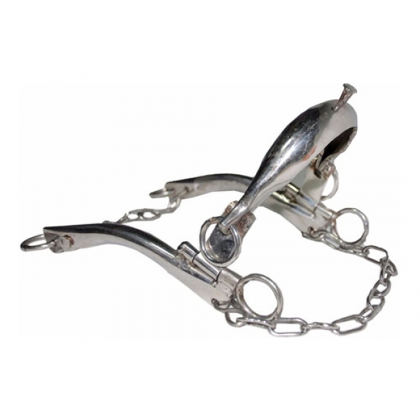 Freio Professora Inox Medio Frete Gratis