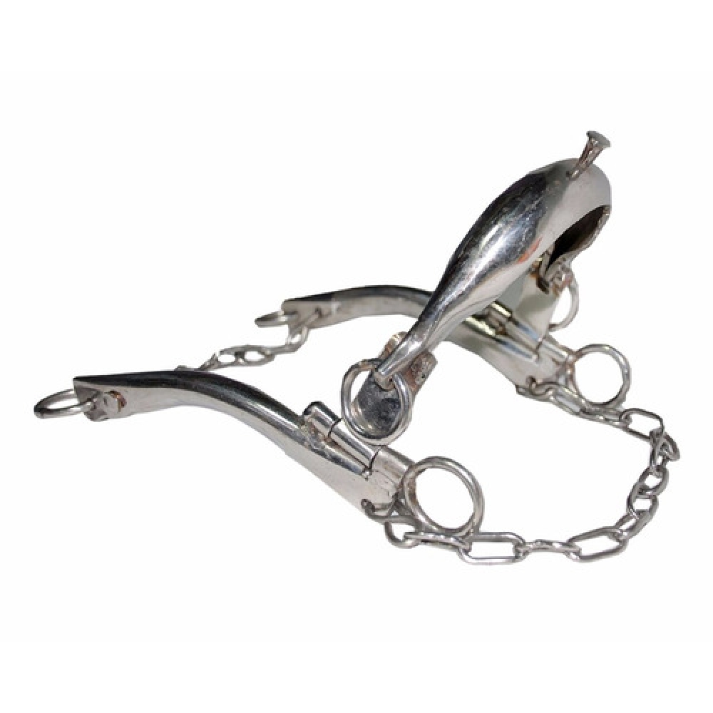 Freio Professora Aço Inox Oferta