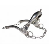 Freio Professora Aço Inox Oferta