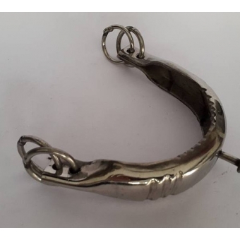 Cabeção Inox Professora Para Freio Cavalo Preço Em Conta