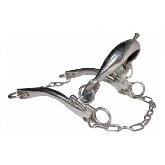 Freio Professora Médio Para Cavalos Equinos Oferta